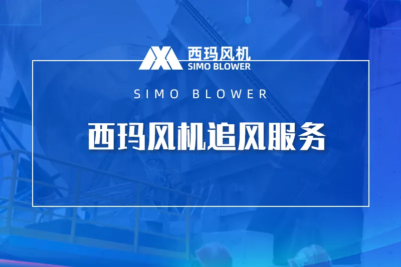 bevictor伟德追风服务